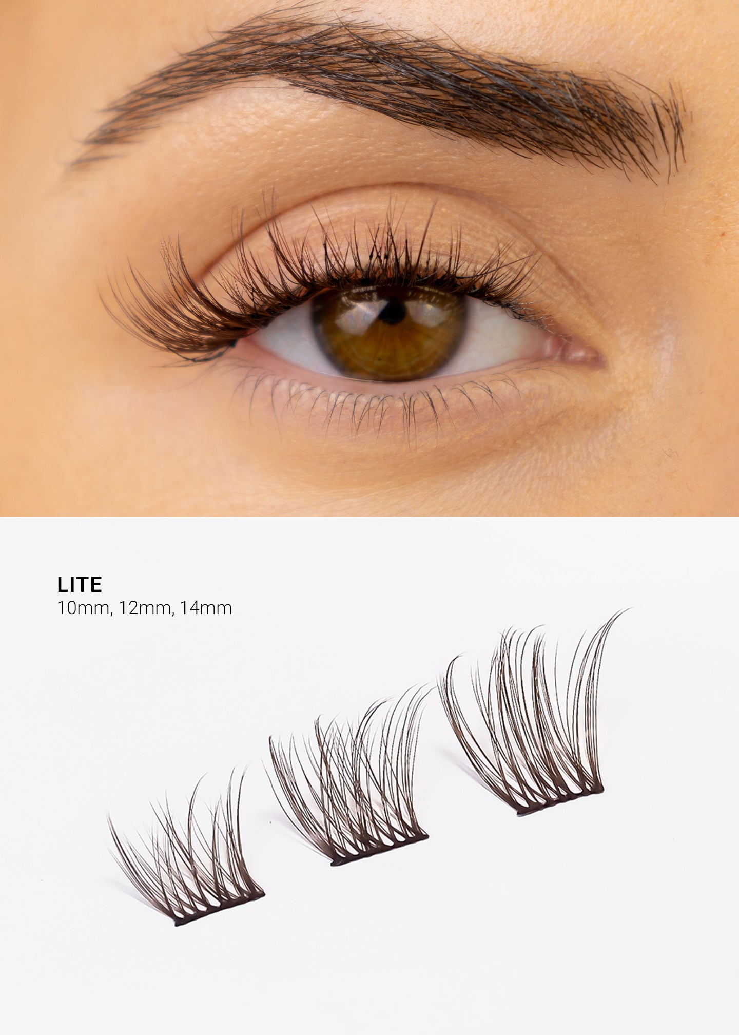 Extended Lash Starter Kit