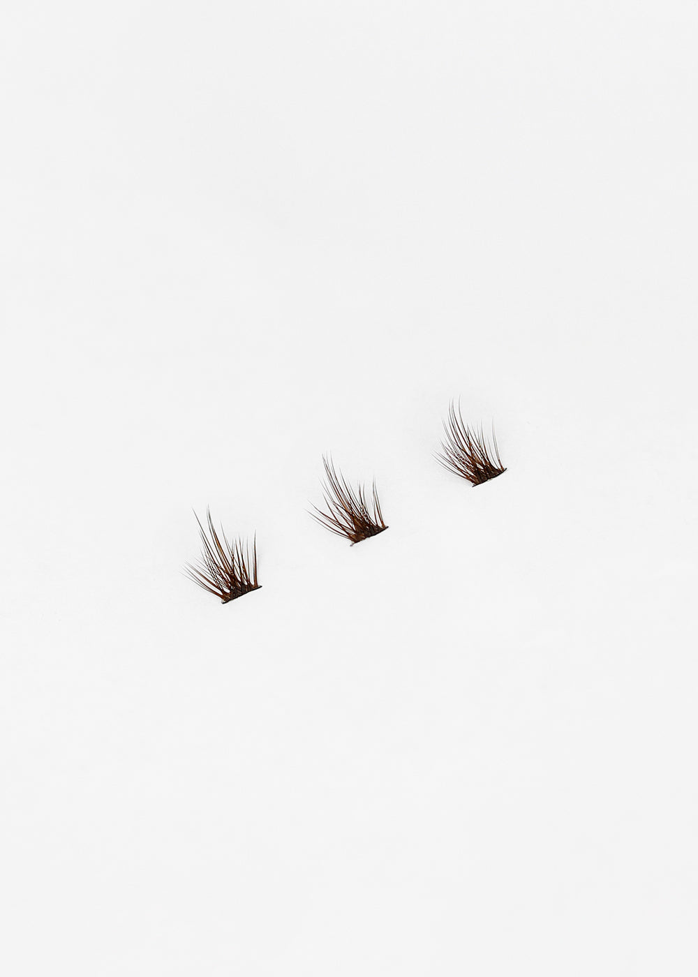 Flirt (Brown)