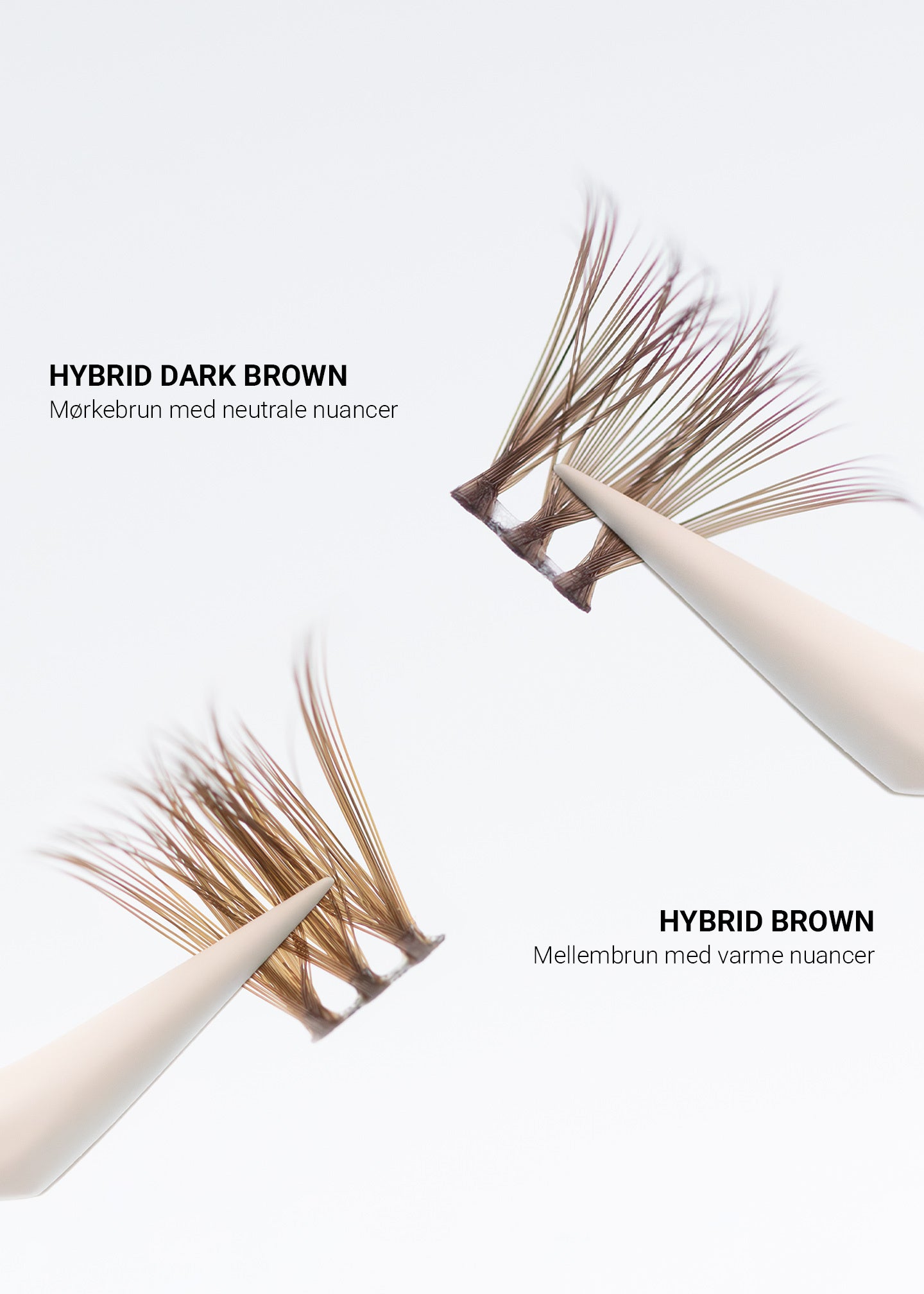 Hybrid Medium Brown