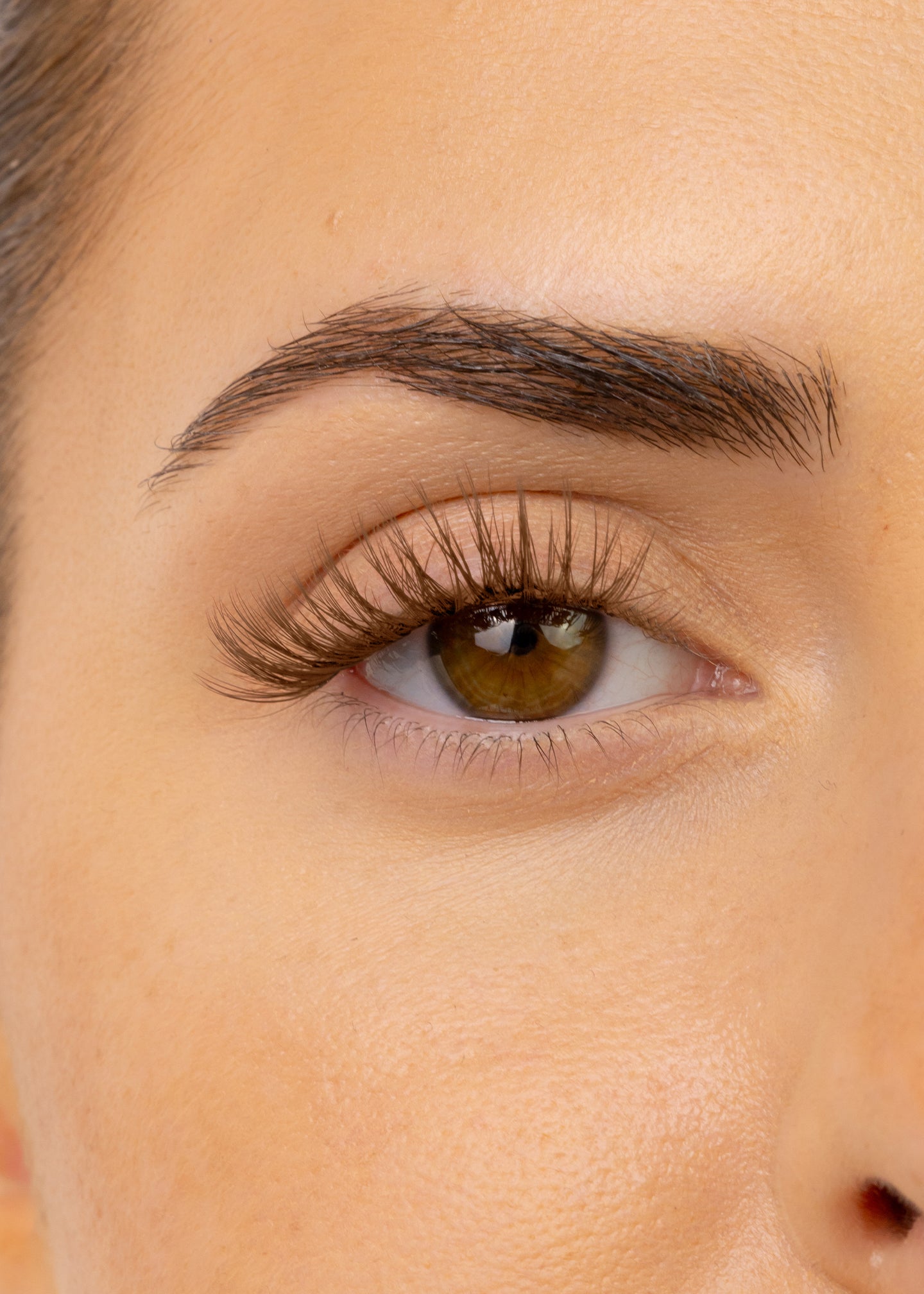 Hybrid Medium Brown