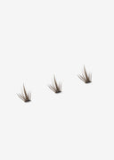 Flirt (Brown)