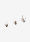 Flirt (Brown)