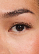 Hybrid Dark Brown