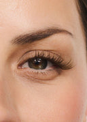 Hybrid Medium Brown