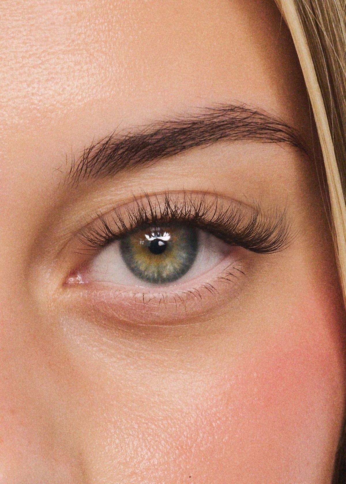 Velvet Brown